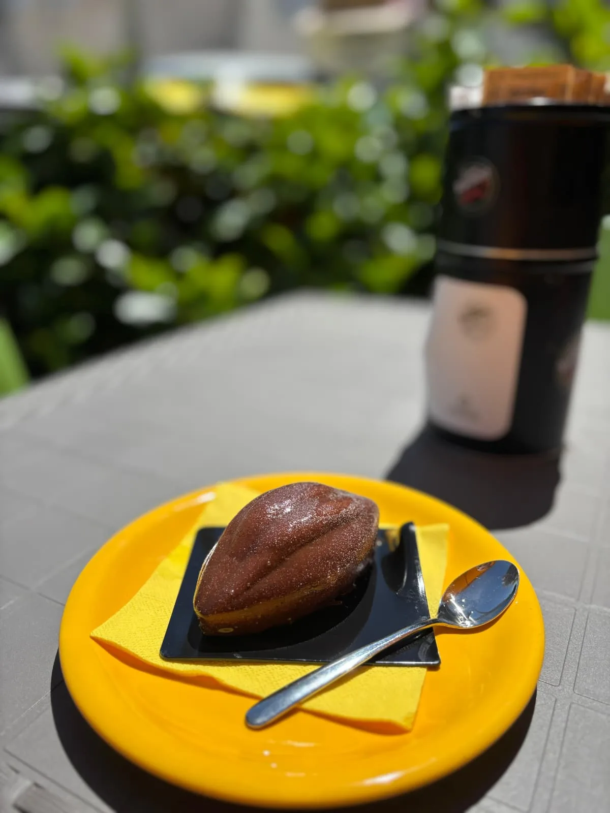 Fava di Cacao Realistico